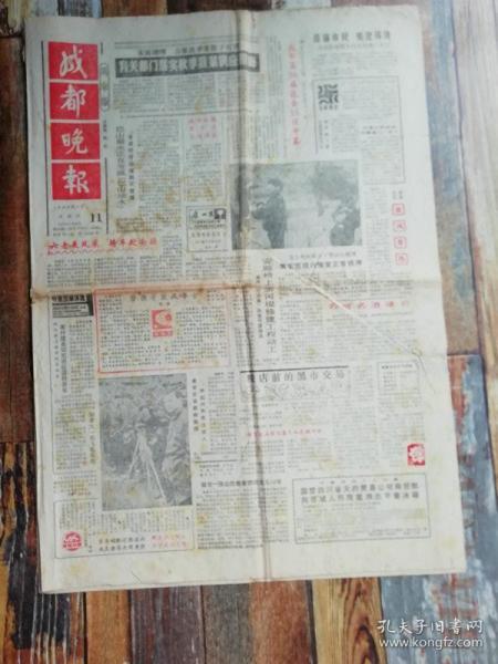 红色印记 文革时期书籍报刊的文献价值与历史反思