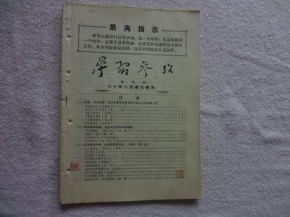 文革期间红色文献的传播与影响 图书、期刊与报纸的历史考察